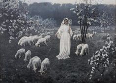 an old photo of a woman in a field with sheep