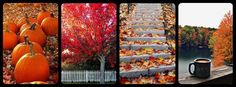 four different pictures with pumpkins and leaves on the ground, one has a coffee cup