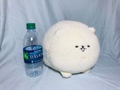 a stuffed animal next to a bottle of water