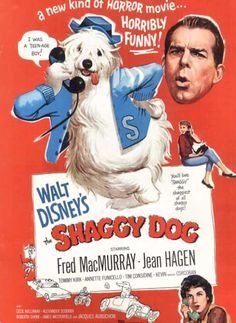 an old movie poster for shaggy dog