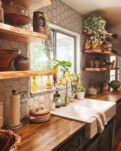 a kitchen with wooden counters and shelves filled with potted plants