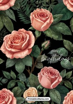 pink roses with green leaves on a black background for a happy birthday card or wallpaper