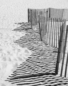 black and white photograph of beach fences in the sand