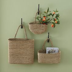 two baskets hanging on the wall with an orange plant in one and a magazine holder in the other