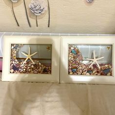 two framed pictures with seashells and starfish in them