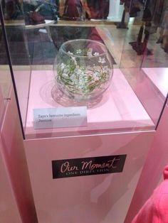 a glass bowl with flowers in it sitting on top of a pink display case that says our moment