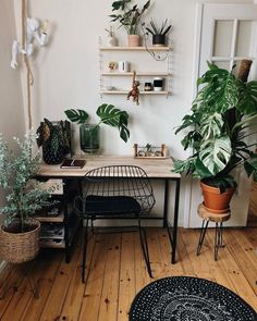 a room with wooden floors and lots of plants on the wall, including a desk