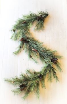 pine needles and cones are arranged on a white surface