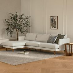 a white couch sitting on top of a hard wood floor next to a potted plant