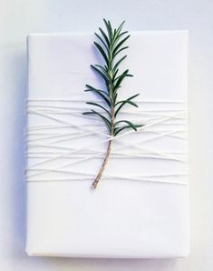 a wrapped gift with a sprig of rosemary on it is shown in an instagram