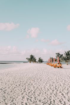 several lounge chairs on the beach with palm trees in the background