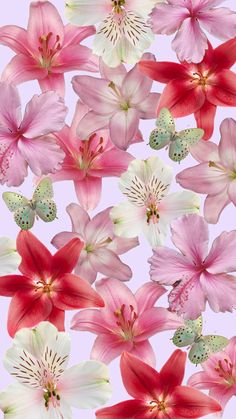 pink and white flowers with butterflies on them