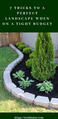 a small garden with plants and rocks in the middle, text reads 7 tricks to a perfect landscape when on a tight budget