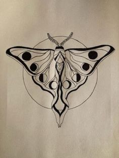 Hand drawn, Moth, original art Premium quality paper and ink. Black and white. 9 x 12 in. Original drawing and art. This is an original not a print. Tiger Moth Drawing, Aesthetic Moth Drawing, Moth Drawings Simple, Hand Moth Tattoo, Silk Moth Drawing, How To Draw Moth, Witchy Line Art, Moth Drawing Simple, Moths Drawing