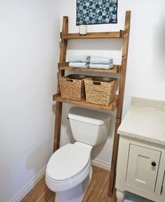 a white toilet sitting next to a wooden shelf