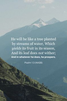 a mountain with a bible verse about the tree planted by streams of water, which yields its fruit in its season