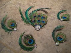 six peacock feathers are arranged on the floor