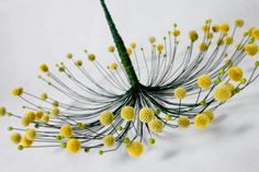 a bunch of yellow flowers on a white surface