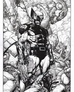 Wolverine Comic Art, Comic Art Sketch, David Finch, Drawing Superheroes, Comic Book Art Style