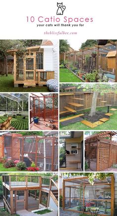 several pictures of different types of chicken cages in various stages of construction, including building and laying