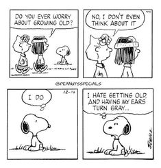 a comic strip with peanuts saying, do you ever worry about grounding old?