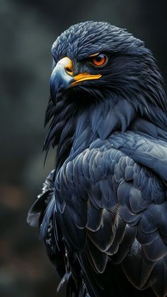 a large black bird with orange eyes sitting on top of a tree branch in front of a dark background