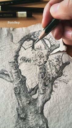 someone is drawing a tree on paper with a pencil
