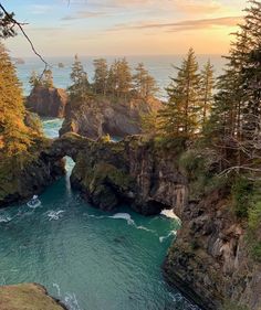 an aerial view of the ocean and cliffs at sunset with trees in the foreground