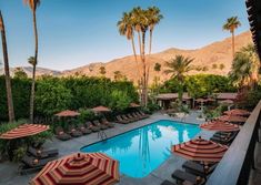 an outdoor swimming pool with lounge chairs and umbrellas next to palm trees in the background