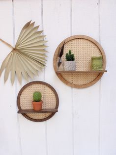 two wooden shelves with plants on them against a white painted wood wall, one has a fan and the other is a potted plant