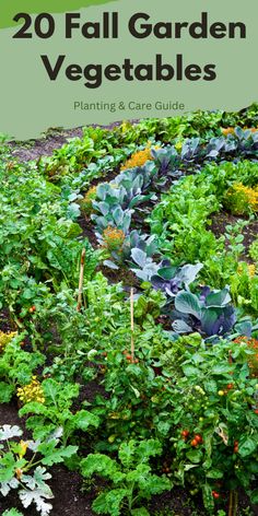 a garden filled with lots of green plants and flowers next to the words, 20 fall garden vegetables planting & care guide