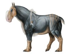 an illustration of a horse with stripes on it's coat and tail, standing in front of a white background