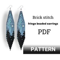 a pair of beaded earrings with the words, brick stitch fringe beaded earrings pdf