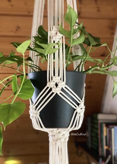 a potted plant hanging from a macrame