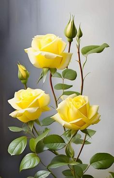 three yellow roses with green leaves in a vase