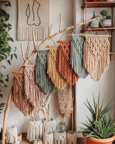 the wall hangings are decorated with different colors and patterns, along with potted plants