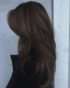 Wolfcut Hair, Brown Hair Inspo, Fesyen Rambut, Hair Stylies, Long Brown Hair, Haircuts For Long Hair