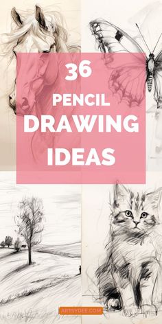 pencil drawing ideas for beginners to learn how to draw animals and butterflies with this easy step by step guide