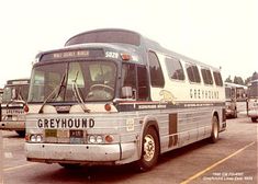 there are many buses that are parked in the parking lot