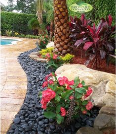 a pool surrounded by rocks and flowers next to a palm tree