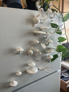 a bunch of mushrooms on the side of a refrigerator freezer next to a potted plant