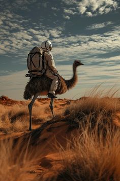 a man riding on the back of an ostrich in the middle of nowhere