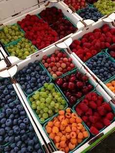 Aesthetic Berries, Berries Aesthetic, Drømme Liv, Forest Grove, Läcker Mat, Think Food, Deilig Mat, Healthy Girl, Food Obsession