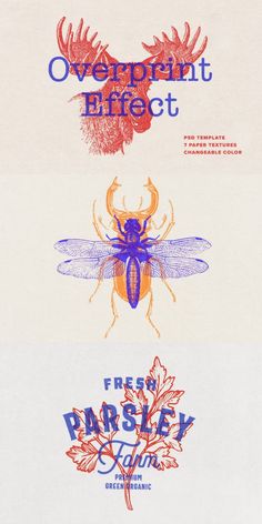 three different types of insect logos on white and blue paper with red, yellow and orange ink