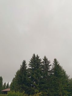 an airplane flying over some trees on a cloudy day