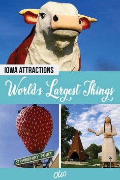 an advertisement for the world's largest things with images of strawberries and cow