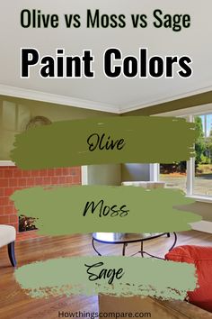 olive and moss vs sage paint colors