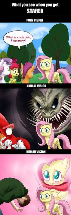 an image of some cartoon characters with caption saying what you see when you got pony vision