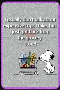 a cartoon dog pushing a shopping cart full of groceries with the caption i usually don't talk about expensive trips i take, but i just got back from the grocery store