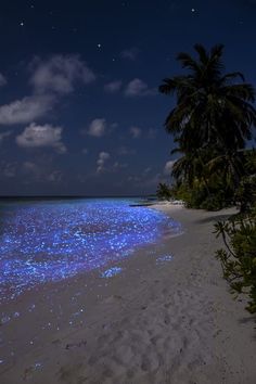 the beach is covered in blue stars and palm trees, as if it were underwater